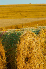 Hay bale