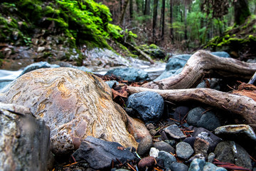 Textured Boulder close to Sonoma Creek at Sugarloaf Ridge State Park, California
