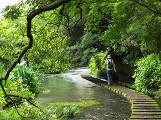 せせらぎの小径を歩む
