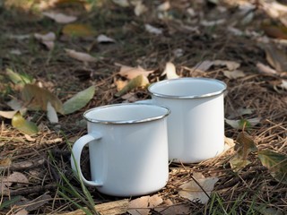 落ち葉で覆われた地面に置かれた琺瑯の白いマグカップ