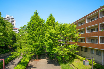 住宅地の緑化　Japan's residential area, suburbs of Tokyo