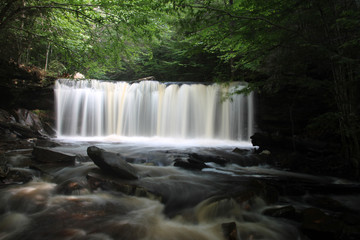Fototapeta premium waterfall in forest