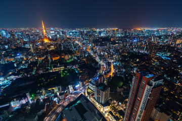 Fototapeta na wymiar Tokyo city at twilight, Japan