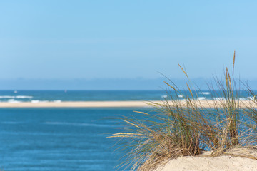 Fototapeta na wymiar BASSIN D'ARCACHON (France), dune du Pilat et banc d'Arguin