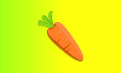 Carrots with leaves and carrot slices. Vector illustration.