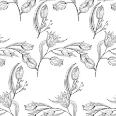 Seamless white and black pattern with tulip. Natural wildflowers white and black illustration.