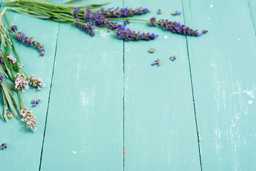 pink and purple lavender flowers on blue wood table background