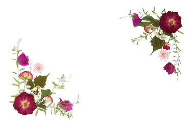 Pressed flowers pressed rose fushia palette 