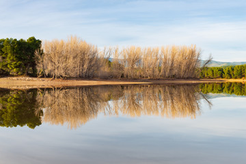 Vista de una arboleda en otoño junto al embalse de El Regajo, cerca de la población de Navajas....