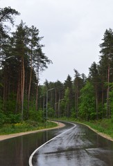 road in the forest