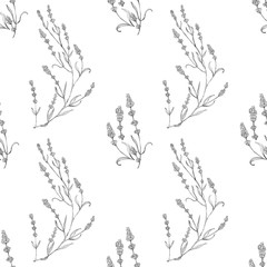 Lavander seamless pattern. Surface pattern design. Flower botanical art natural