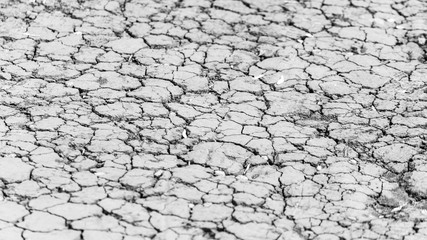 Cracked soil as an abstract background