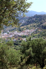 Fototapeta na wymiar Kreta, Kritsa, Wanderweg