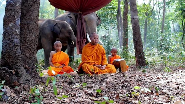 Thai farmers and monks in the jungle