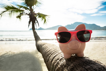 Pink Piggybank With Sunglasses On Palm Tree Trunk