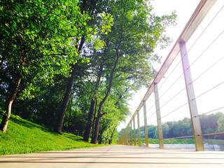 Wooden walking path with railings along the pond summer city park, perspective, low angle shot