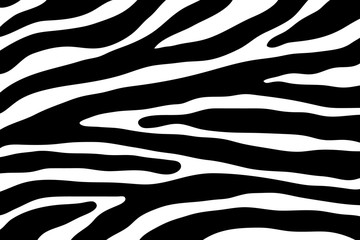 Vector abstract background. Illustration of zebra pattern