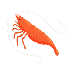 Shrimp isolated on white background. Cartoon. Vector. Logo, icon. Fresh shrimp. - 270911618