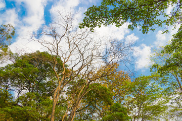 Beautiful view at Mae Sot National Park Forest, Thailand.