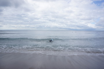 써핑 하는 풍경