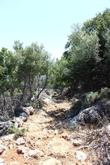 Kreta, Kritsa, Wanderung
