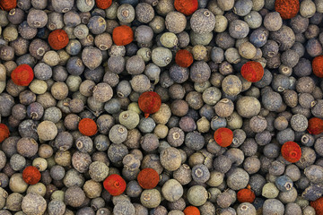 black peppercorn polka dots large red pepper special red round panel culinary background base base design