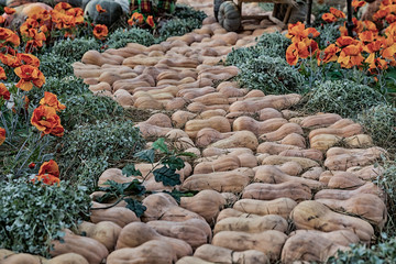 winding path art pumpkin orange muscat decor outdoor seasonal festival toning vintage