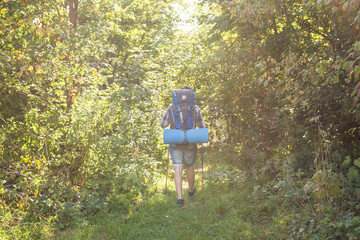Adventures, summer tourism and nature concept - tourist arriving to a camping with his cat