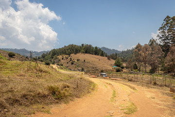 Echo Village with leading road