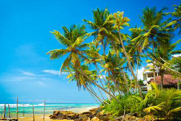 Tropical vacation to Sri Lanka