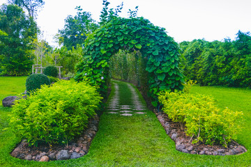Green tunnel in fresh spring day. Way to nature.  Green trees and the way.
