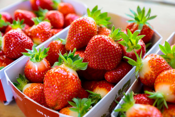 erdbeeren
