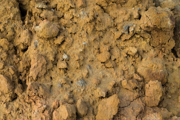 The texture of the ground. The texture of the sand. Background.