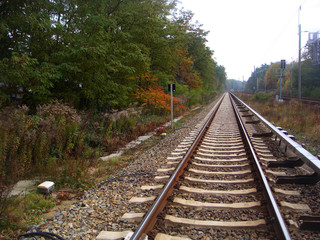 Obraz premium Railways and trees