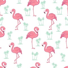 Fototapety  Vector seamless pattern with flamingos