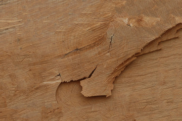 dark beige background wooden saw cut wood uneven cracked natural base
