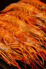 fresh shrimp large row seafood vertical pattern culinary ingredients asia