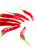 vertical photo of chilli pepper fan on a brightly white background culinary design