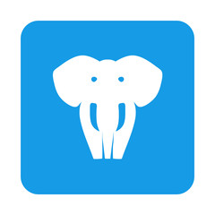Icono plano silueta elefante en cuadrado color azul