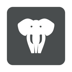 Icono plano silueta elefante en cuadrado color gris