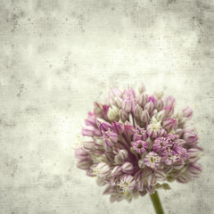  old paper background