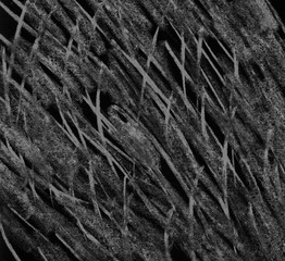 Black and white acrylic monochrome texture, handmade for background or design