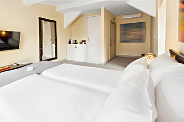 Luxurious modern loft bedroom interior with twin bed