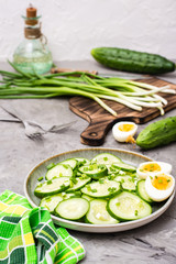 Ready-to-eat fresh cucumber salad, boiled chicken egg and green onions on a plate on the table