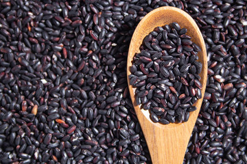 黒米（くろまい、くろごめ）、または紫黒米（しこくまい）または、紫米（むらさきまい）。中国では紫米、紫糯、黒糯、鶏血糯と呼ばれる。英語ではBlack rice.