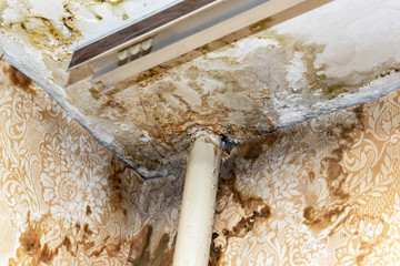 Rain water leaks on the ceiling because of damaged roof causing decay, peeling paint and moldy
