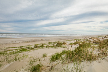 Fototapeta na wymiar Diamond Beach sand dunes in Spring, Wildwood Crest, NJ