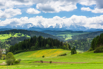 Obraz premium Amazing view over hills and meadows with tatra Mountains on horizon, Poland