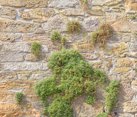 Old masonry stonewall pattern.