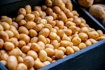 Potatoes at the market display